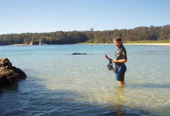 Sapphire Coast Marine Discovery Centre